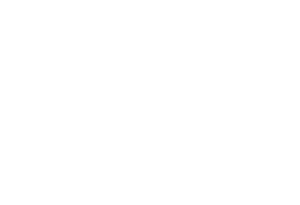Salong Onyx